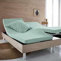 Scenario Plain 100% Organic Cotton Fitted Sheet for Articulated Bed